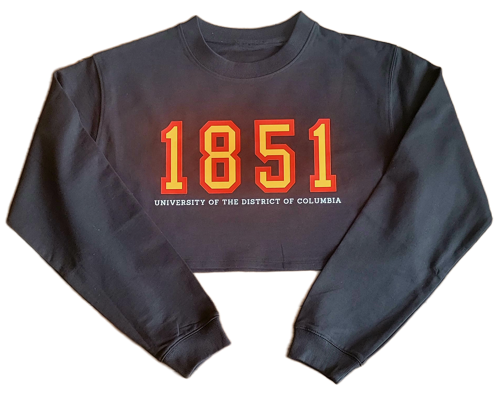 1851 Crop Top Sweatshirt – Luv My HBCU